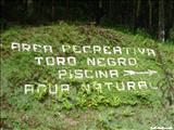 Bosque Estatal de Toro Negro - OROCOVIS, JAYUYA, JUANA DÍAZ